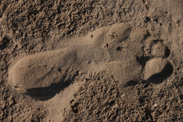 Trace a bare foot