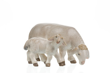 Schaf mit Kind 