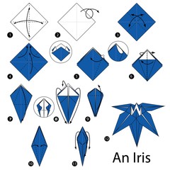 step by step instructions how to make origami An Iris. - obrazy, fototapety, plakaty