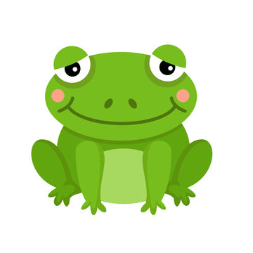 illustration of isolated frog on white background