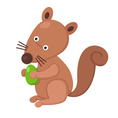illustration of isolated  squirrel with nut on white background