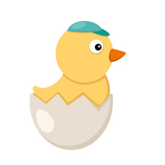 illustration of isolated  chicken on white background