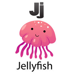 Alphabet letter  J-Jellyfish