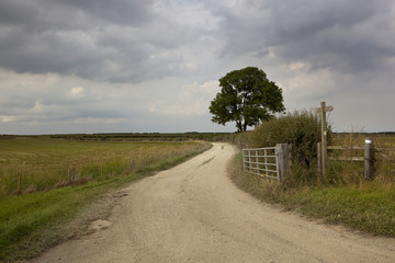 footpath in the yorkshire wolds
