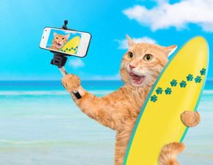Beautiful surfer cat on the beach taking a selfie together with a smartphone.