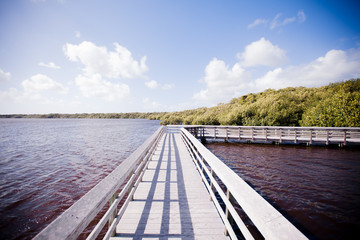 Boardwalk in Everglades National Park