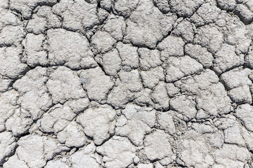 Dry crack soil
