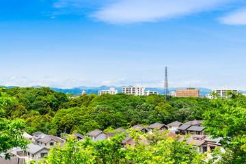 緑に包まれたベッドタウン