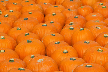 Colorful pumpkins