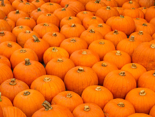 Colorful pumpkins