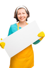 beautiful smiling housewife holding a spray for cleaning glasses
