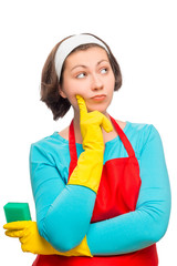 beautiful smiling housewife holding a spray for cleaning glasses