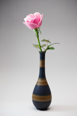 薔薇の花
