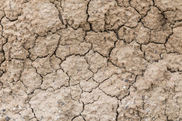 soil background