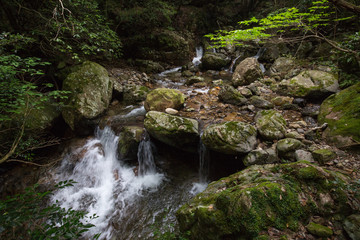 愛媛県宇和島市　薬師谷渓谷