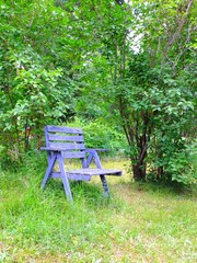 Rustic blue chair in a garden