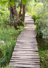Fototapeta na wymiar Wooden planks path over the ditch vertical