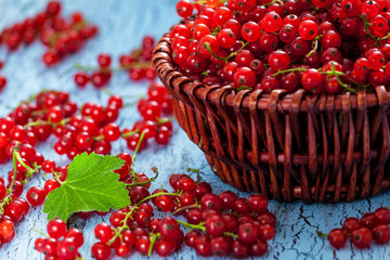 Redcurrant in wicker bowl on the table