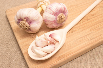 fresh garlic on canvas close up