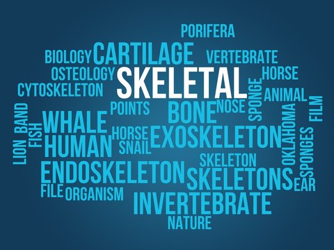 skeletal