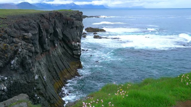 Bird cliffs at the seaside near Arnarstapi Village in Snaefellsnes Peninsula Iceland