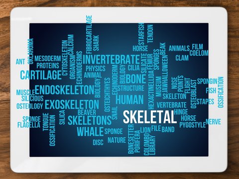 skeletal