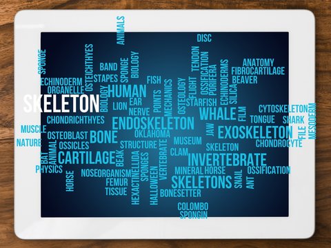 skeleton