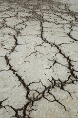 cracks in the ground,white soil