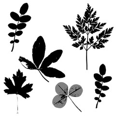 The set of vector leafs