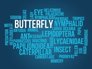 butterfly