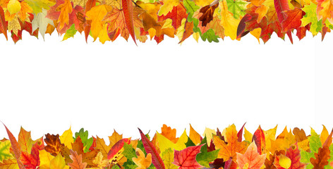 Colorful autumn different leaves frame, isolated on white background.