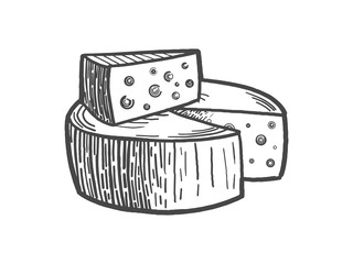 Cheese engraving style vector illustration
