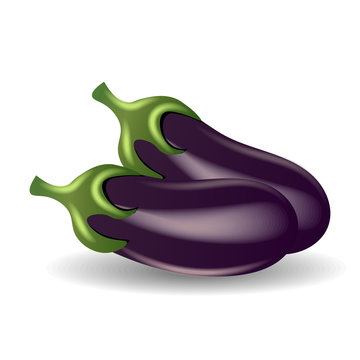 Eggplant vector illustration. Eggplant isolated on white background