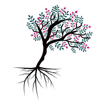 Tree vector illustration