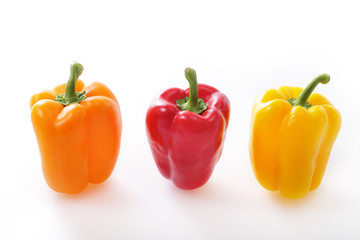 パプリカ Capsicum