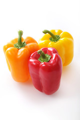 パプリカ Capsicum