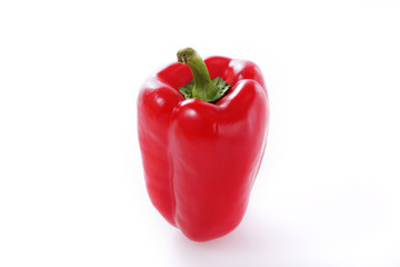 パプリカ Capsicum