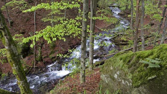 Waterfall in the mountains near the village Pylypets, Carpathians