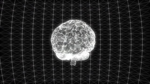 Digital brain develops a random glitch