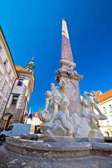 Fototapeta na wymiar Fountain and city hall of Ljubljana