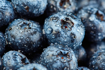 Blueberries with drops of water