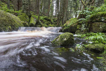 river in a forest,Sumava - national park, Czech republic, Europe