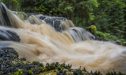 river in a forest,Sumava - national park, Czech republic, Europe