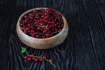 Fresh red currants