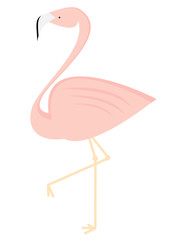 cute flamingo isolated on white background vector illustration


