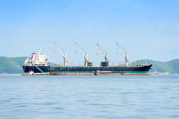 Obraz premium Large container ship in the sea