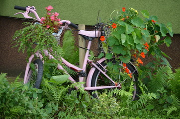 rower w kwiatach - obrazy, fototapety, plakaty