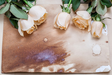 Wedding vintage romantic background