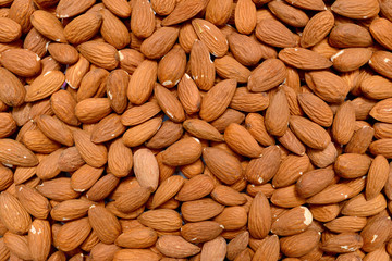 almonds seeds texture