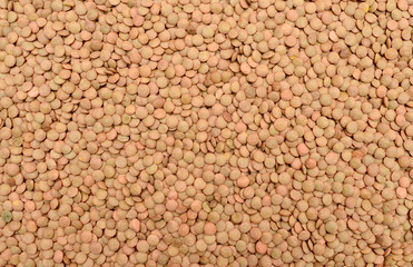 lentil seeds texture